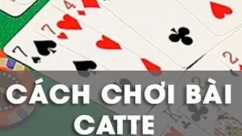 cach choi catte